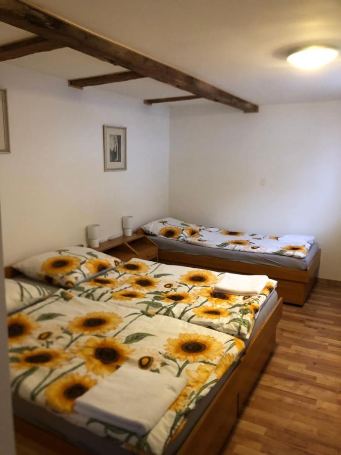 U Monka Apartment Jachymov Bagian luar foto